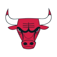 Chicago Bulls